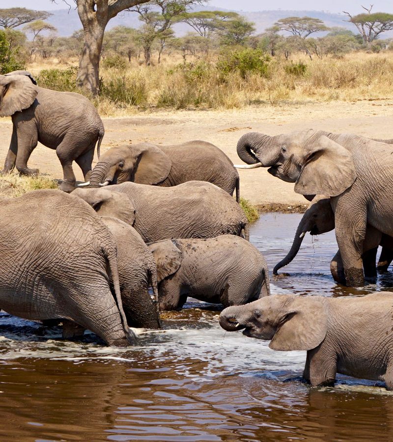 3 Days Safari to Queen Elizabeth National Park